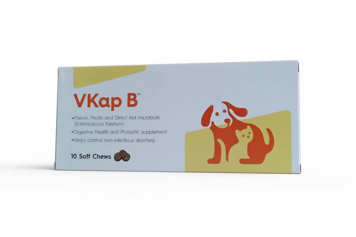 VKAP B 10S