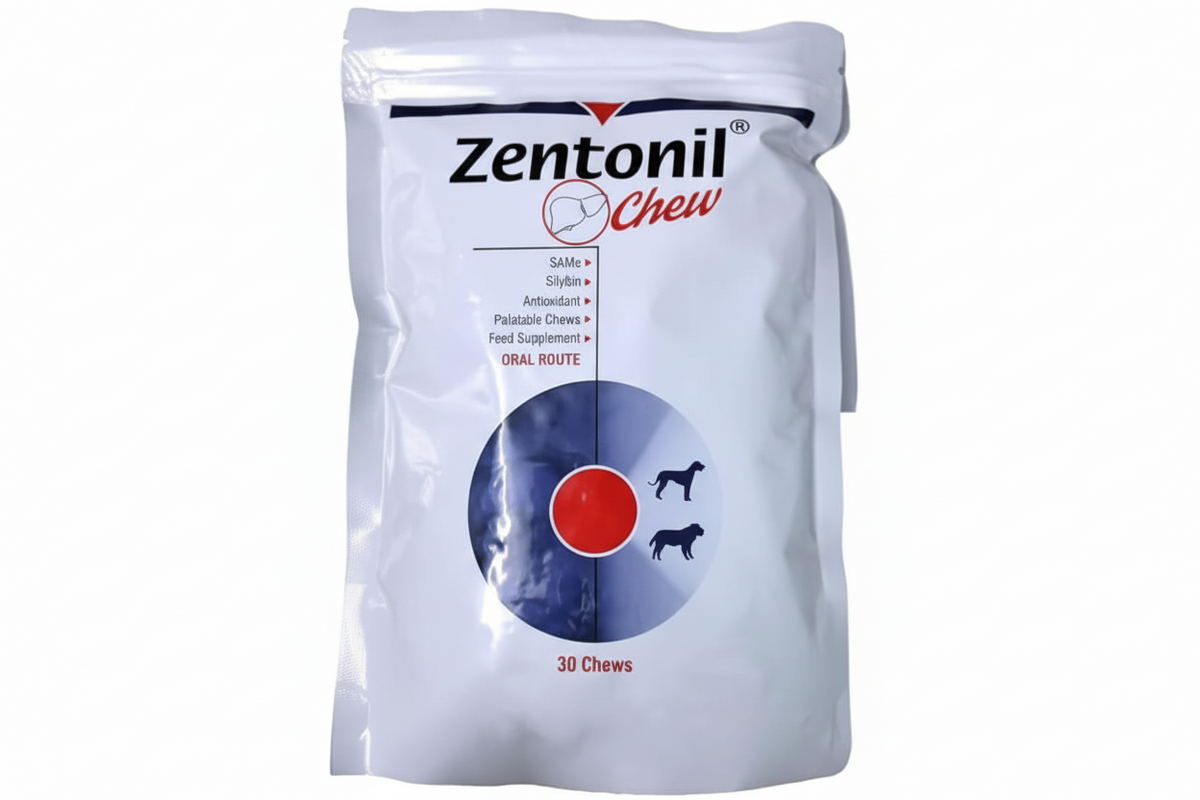 ZENTONIL CHEW 30in