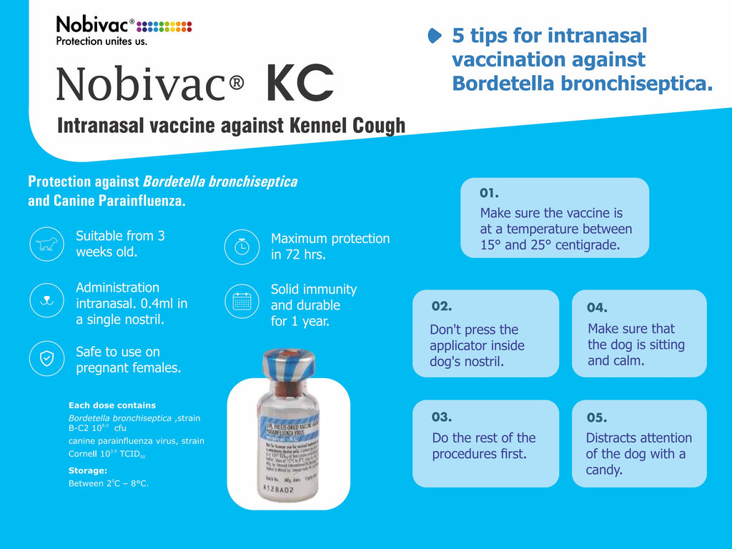 NOBIVAC KC 5*1
