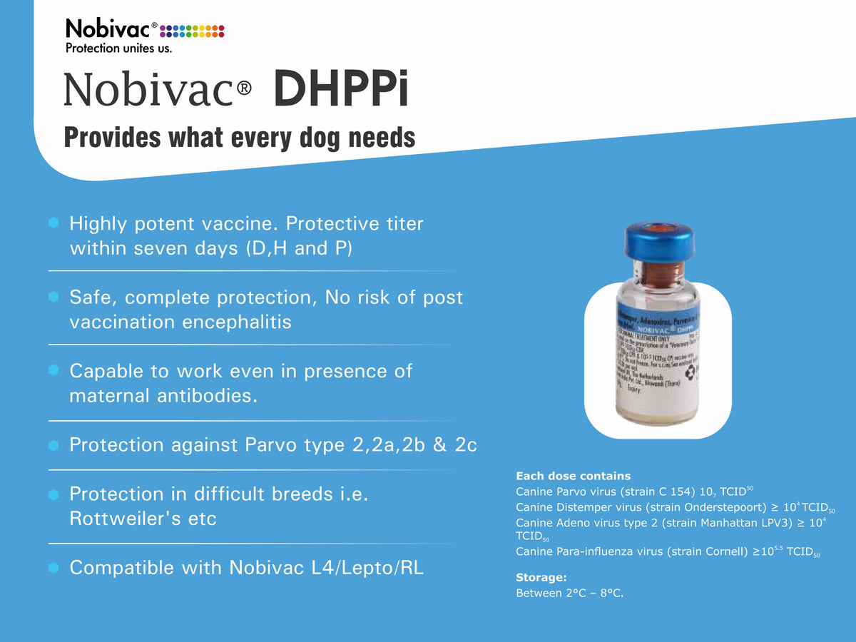 NOBIVAC DHPPI