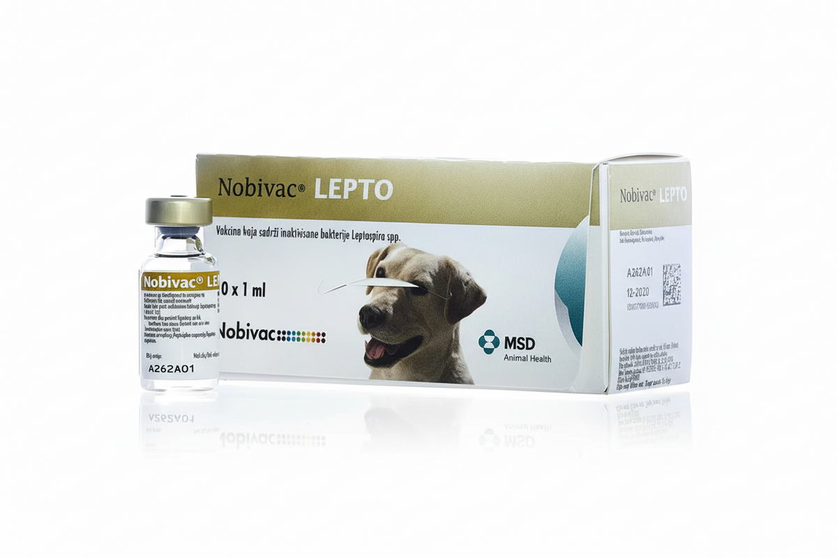 NOBIVAC LEPTO 1ML