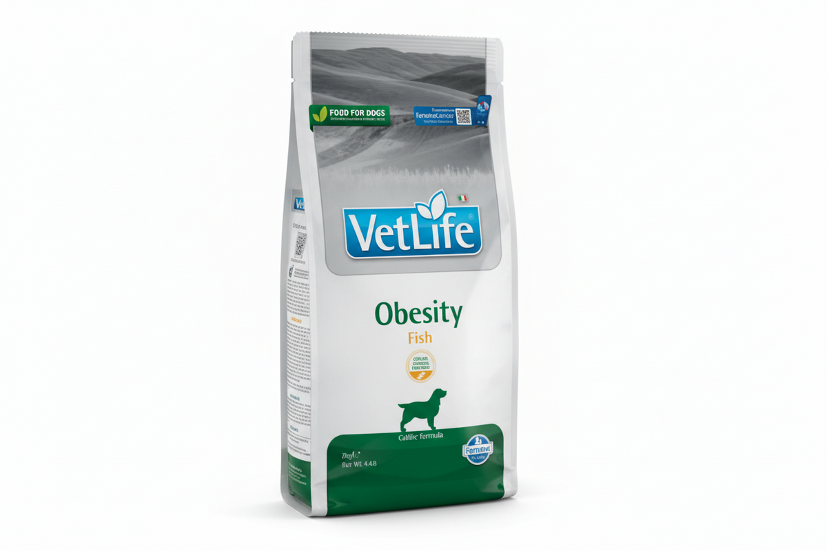 V-LIFE NAT DOG OBESITY