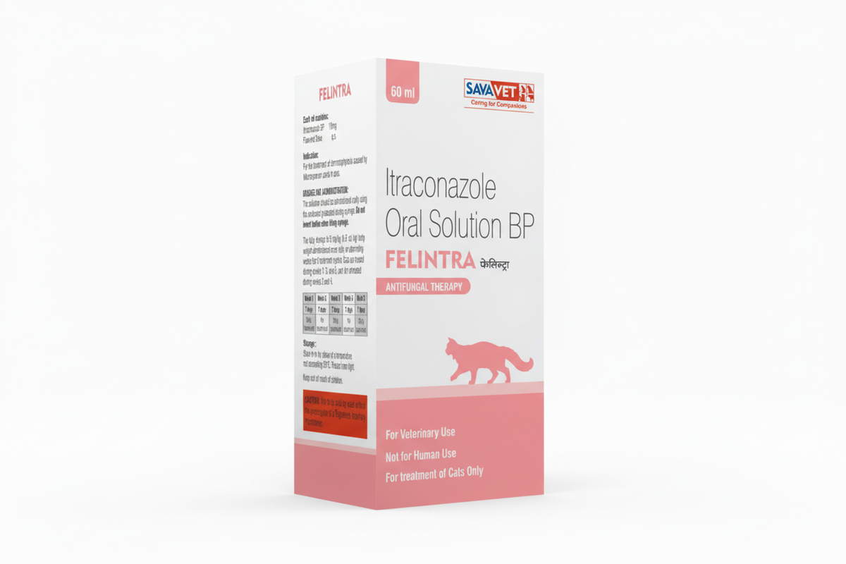 FELINTRA 1 60ml