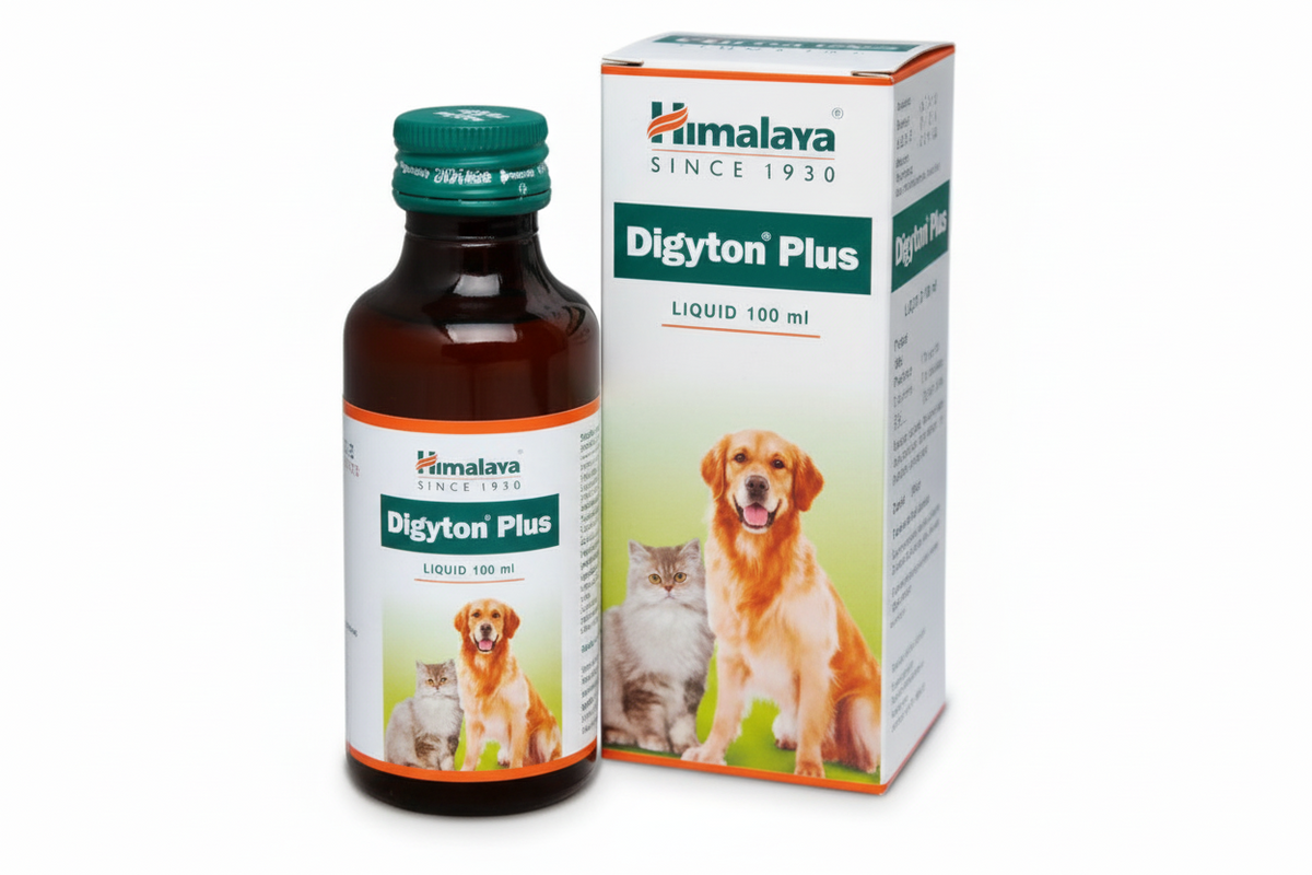 DIGYTON PLUS LIQUID