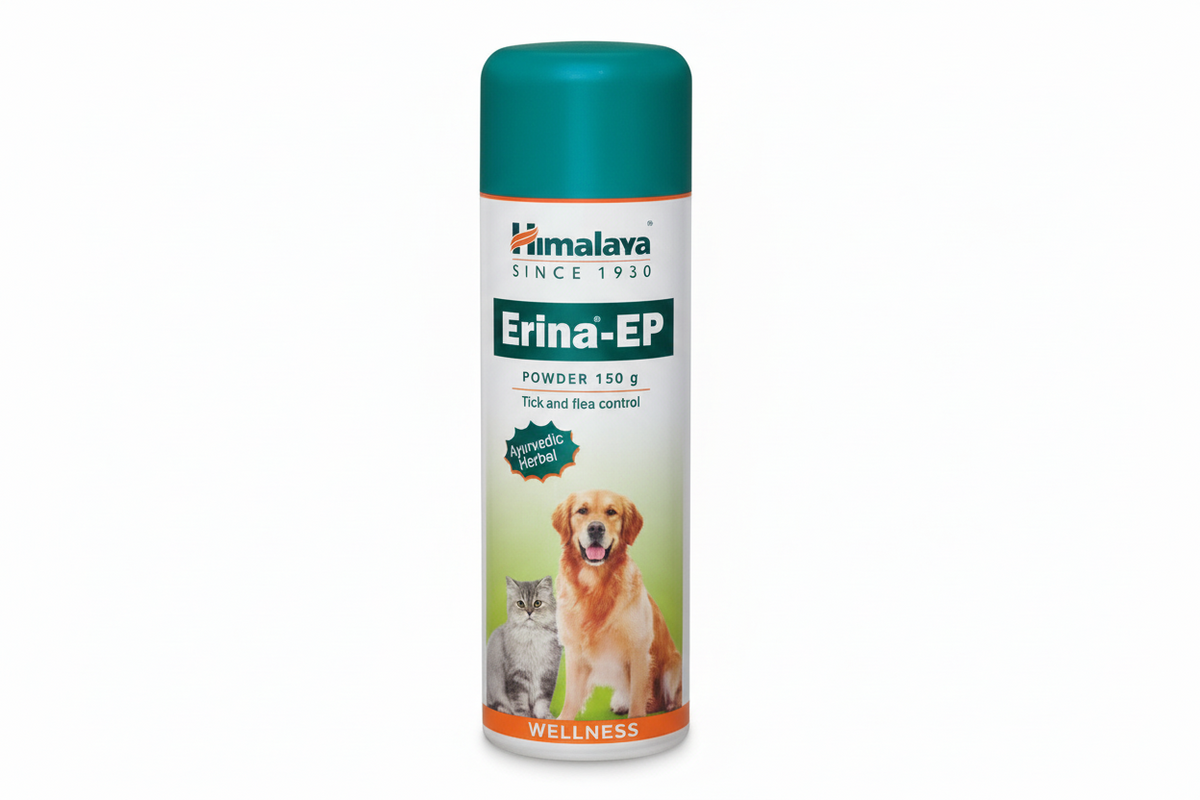 ERINA EP POWDER