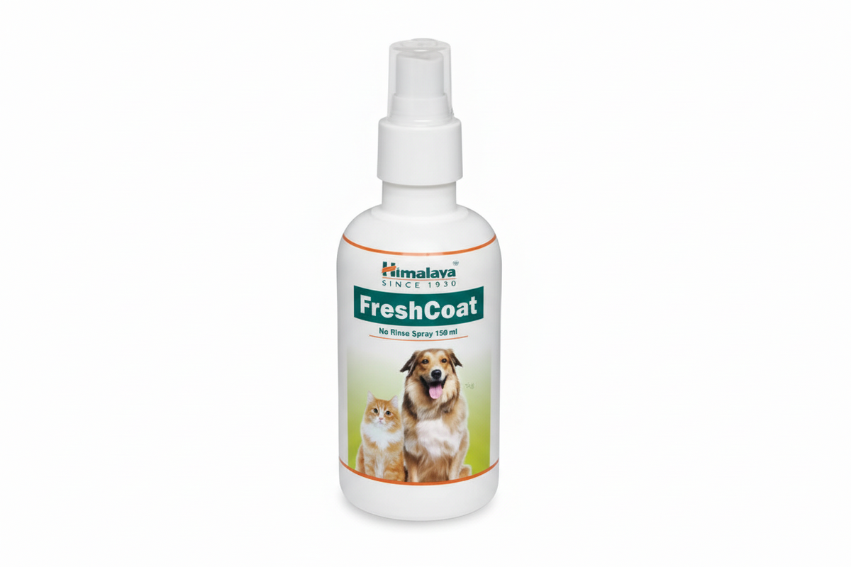 FRESH COAT SPRAY