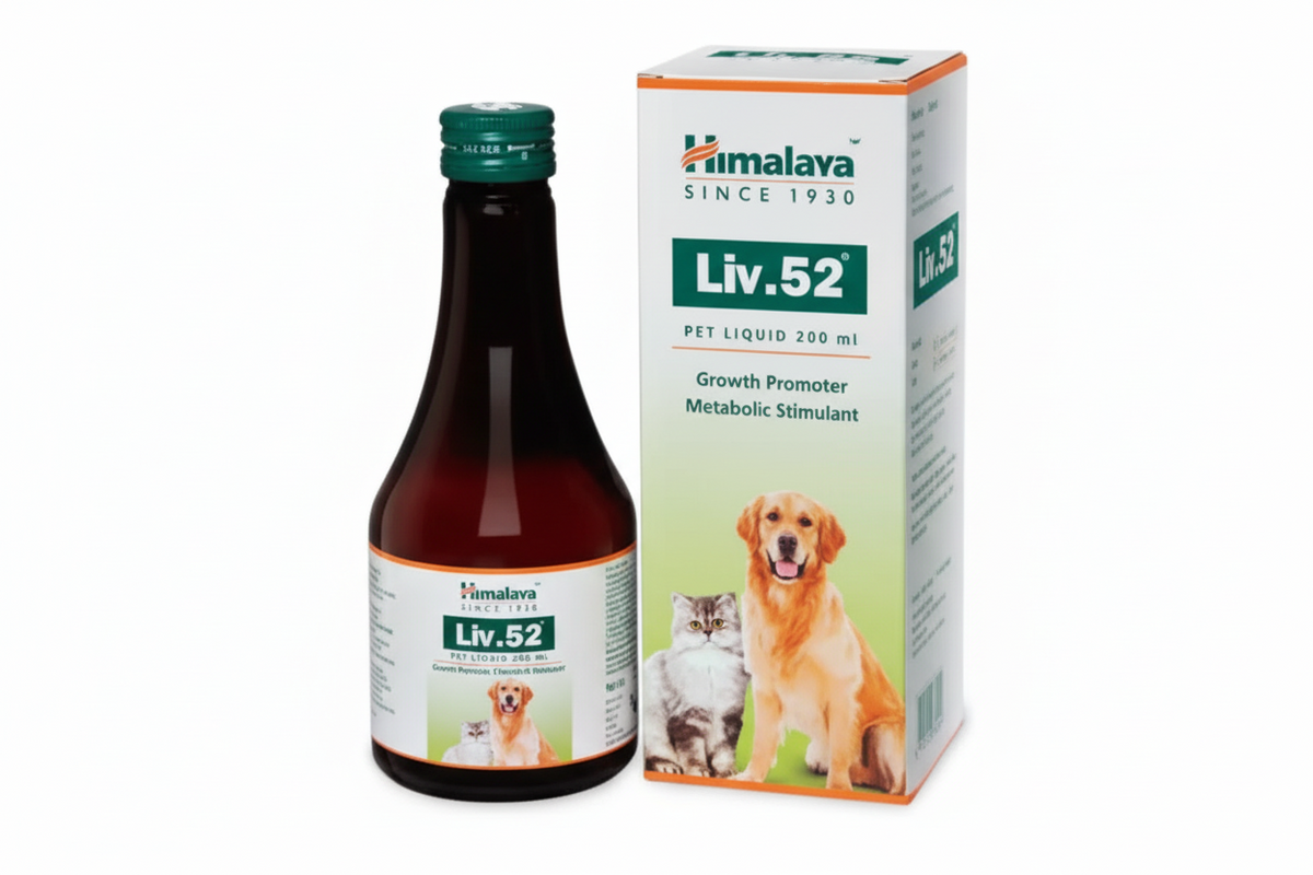 LIV 52 LIQUID
