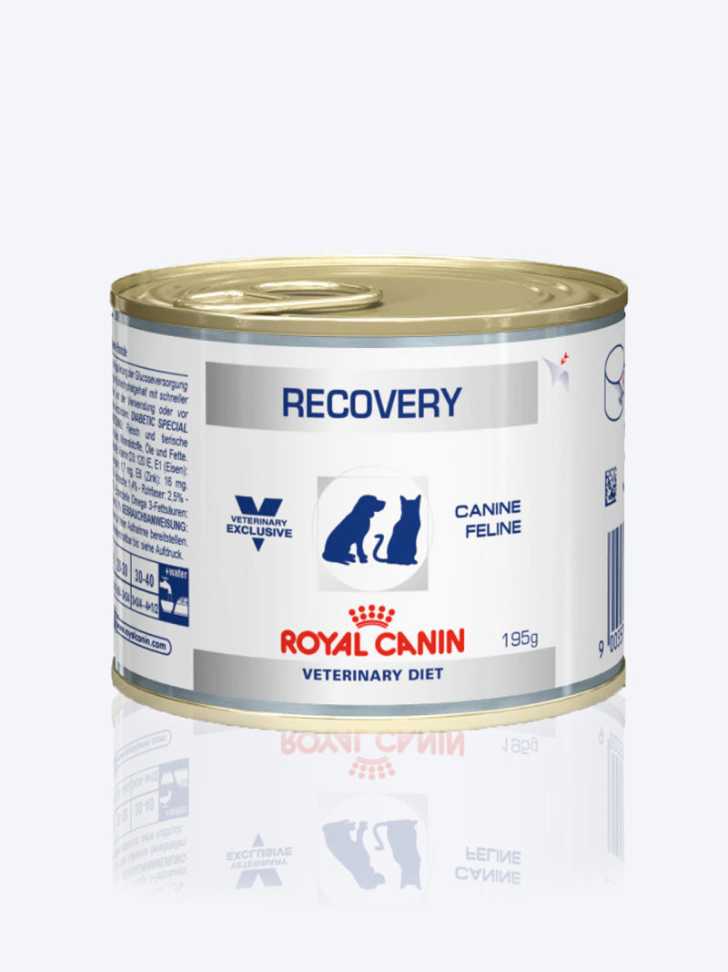 R RECOVERY CAN 195gm