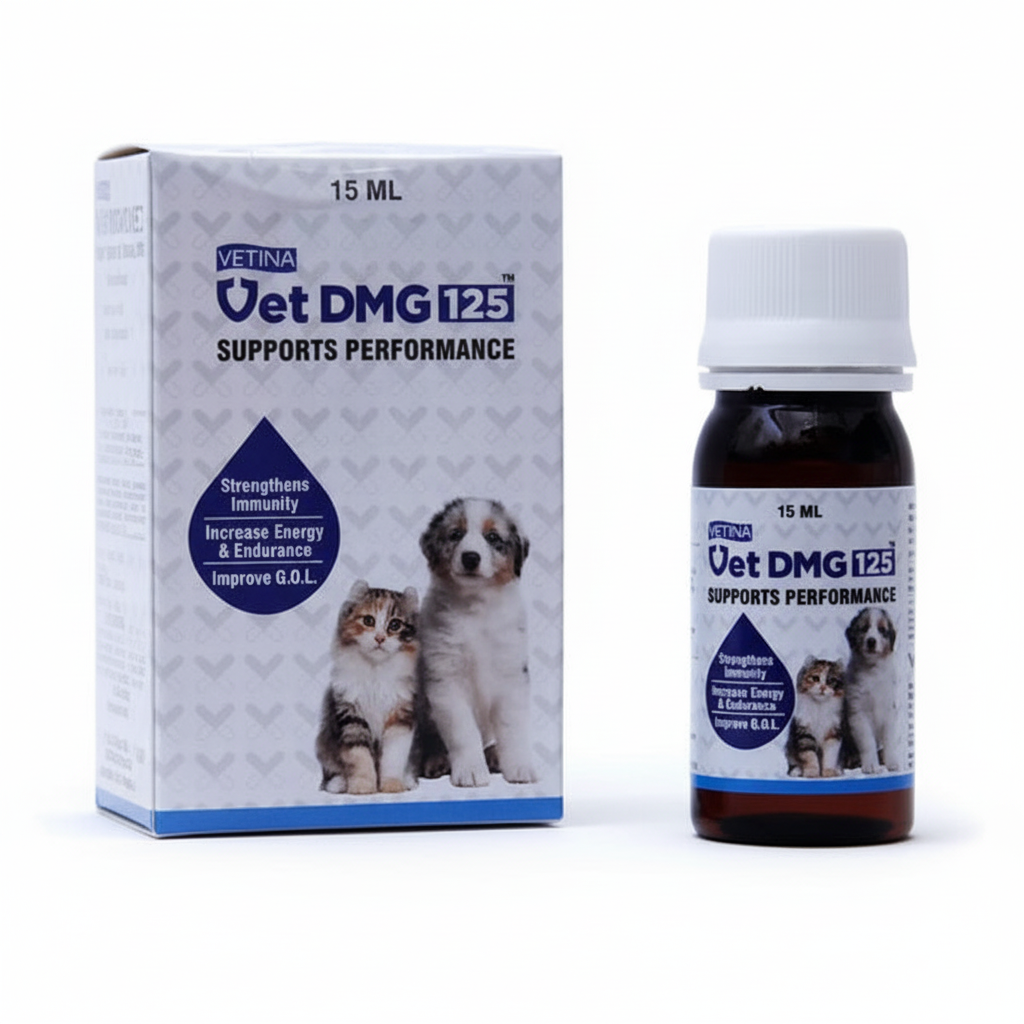 VET DMG 15ML