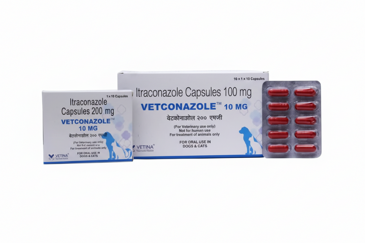 VETCONAZOLE CAPSULE 10MG