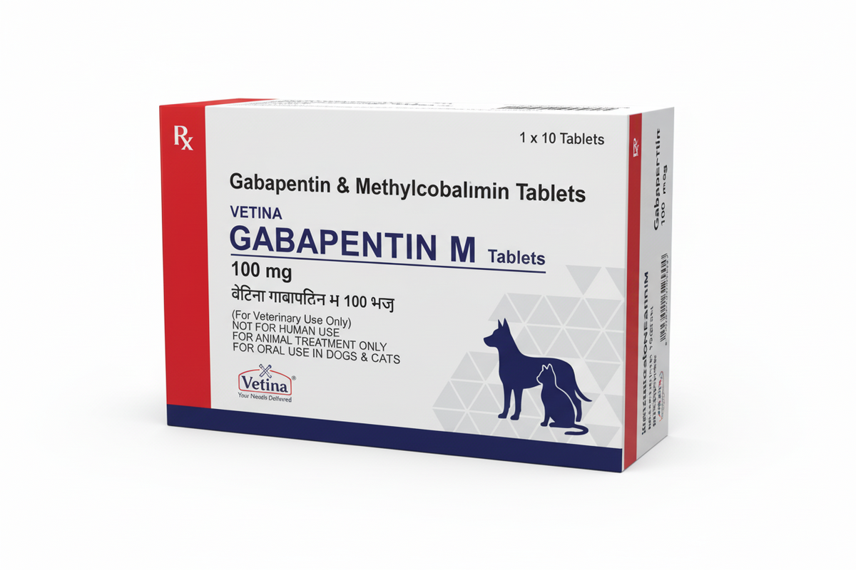 GABAPENTIN M 100MG