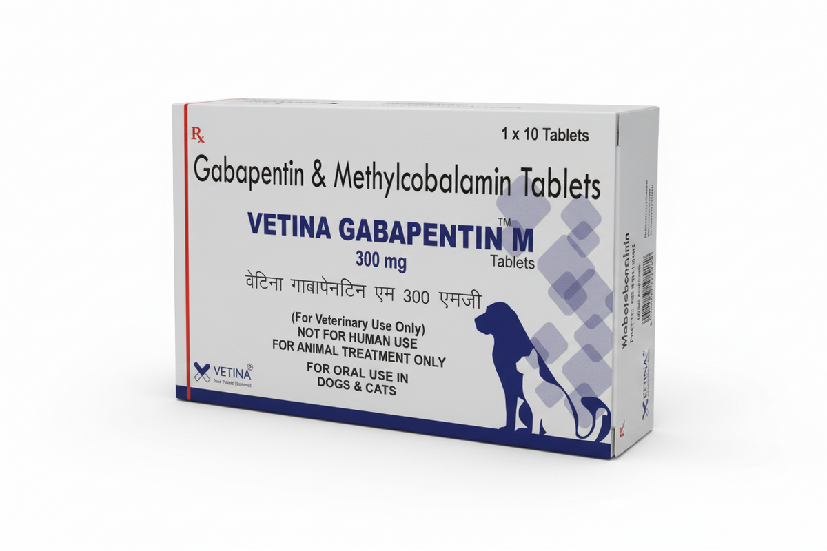 GABAPENTIN M TAB 300MG