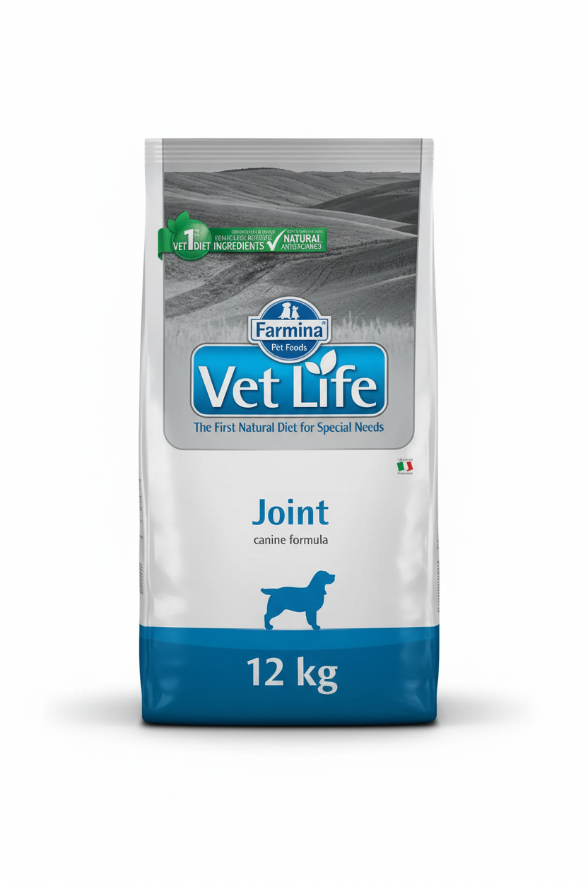 V-LIFE DOG JOINT 12KG