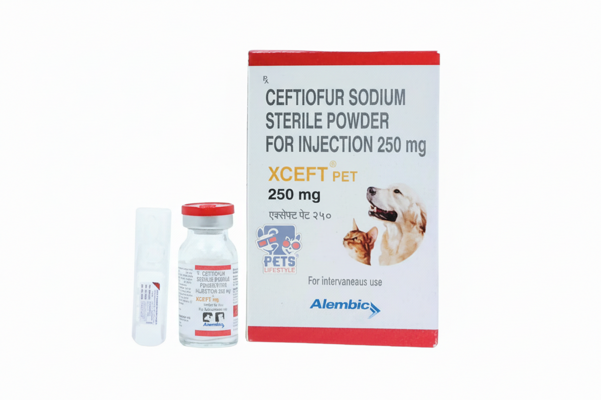 XCEFT PET INJ